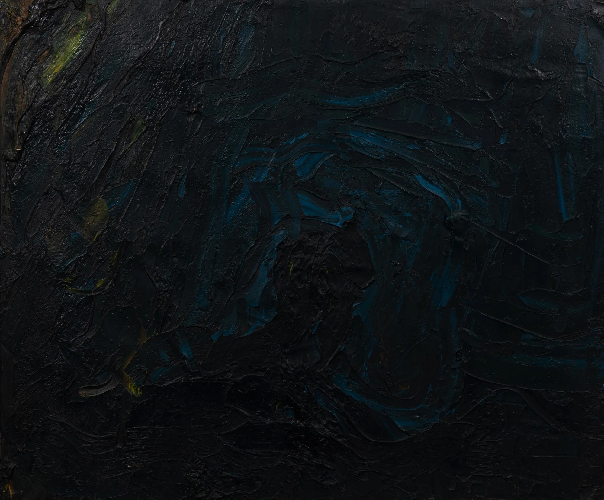 The Painter's Shadow on a Garden, Night